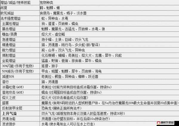 勇者大冒险手游，风暴射手与猎人组合搭配及全面技能属性解析